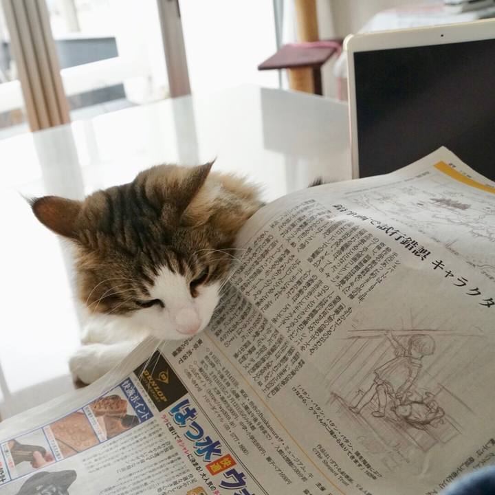 F0988575 4d1d 482a 8b86 611b0aceb930 1549342604549