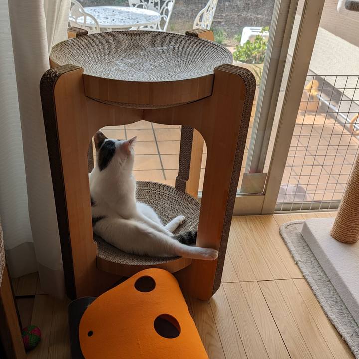 F098aa2b 02bc 4dcf 9135 bc1254f5671f 1699066319820