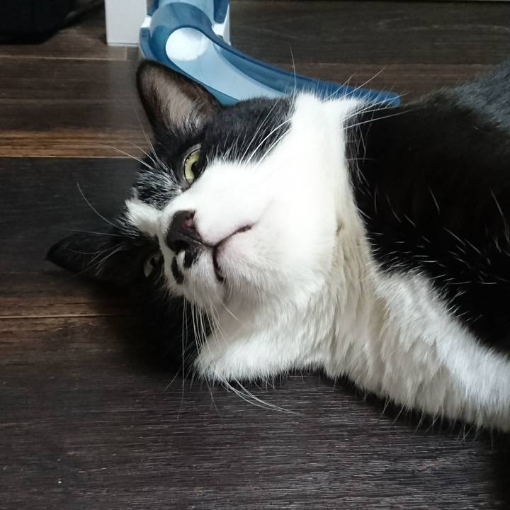 F098bb02 c801 40cb 82fa 8eff045b778b 1527118347101