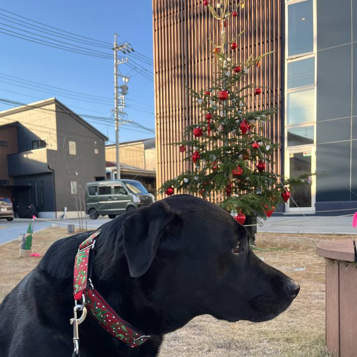 F099a722 d580 478a 83b8 d7cc4e69da8b 1766476540041