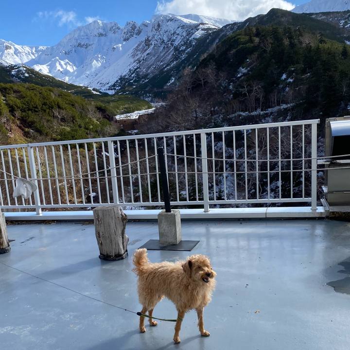 F099baba 8214 4993 9244 708b6290d2f1 1636241412167