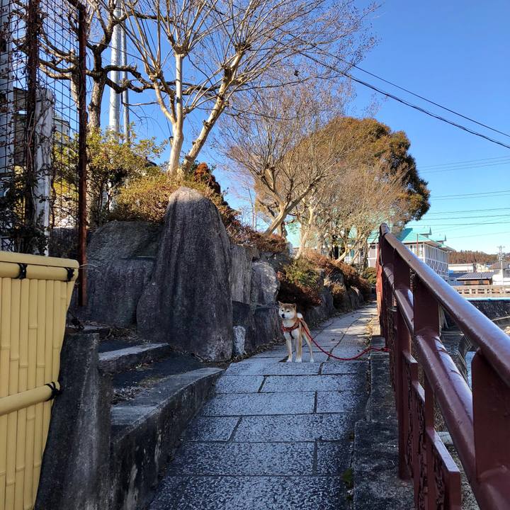 F099f8ec 2bf1 41e2 9d32 f437e9500b55 1519027023955