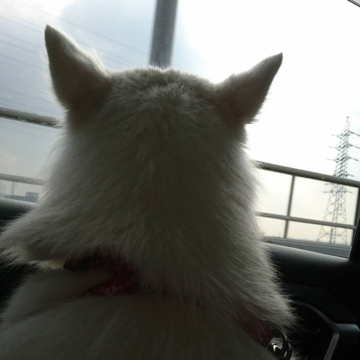 F09a326f 8fac 40dd a2bd aed430afd06f 1562396606026