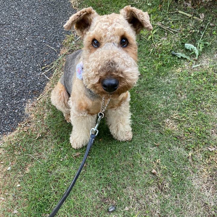 F09a8756 9675 4e4e 9a03 f313020b5e32 1619777969444