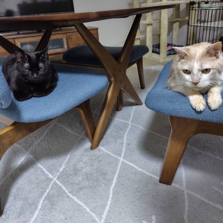 F09a9072 a365 4f95 a9ad 77d5093b7009 1717754984021