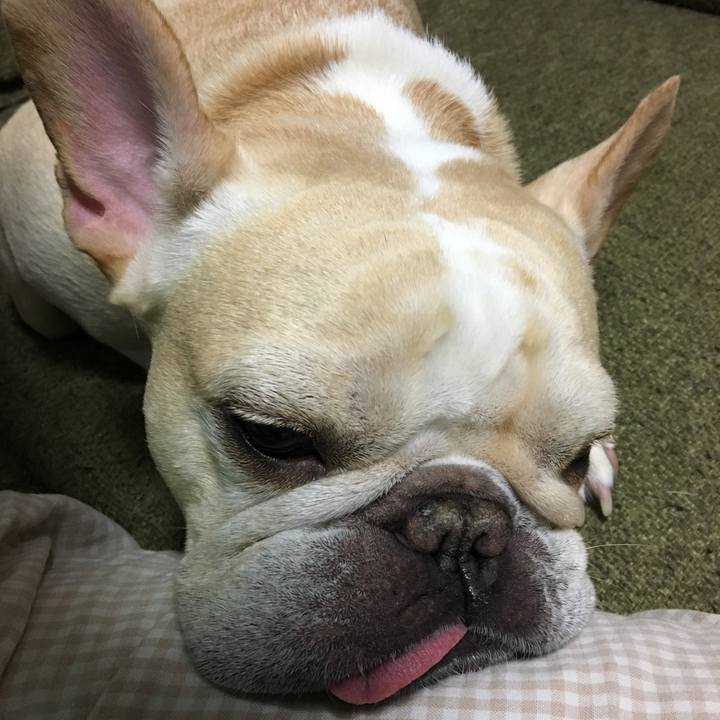 F09b2538 3e56 4b74 837f ad28a36e28d2 1509971426141