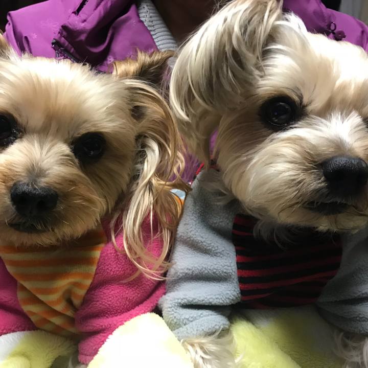 F09b3987 5e51 42a0 86f9 b8779d81fbc0 1522623969518