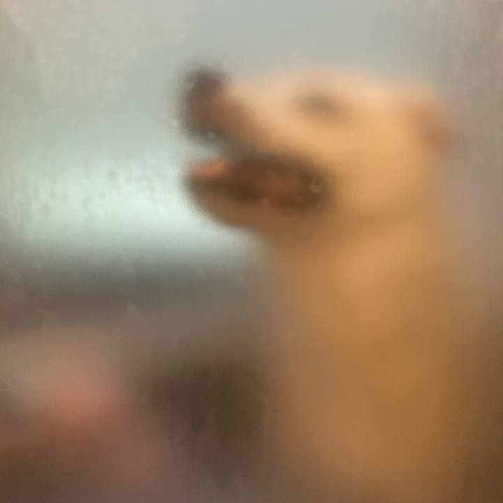 F09b5d0c 38e5 44f5 b20a 246e53cd3a84 1729905822692