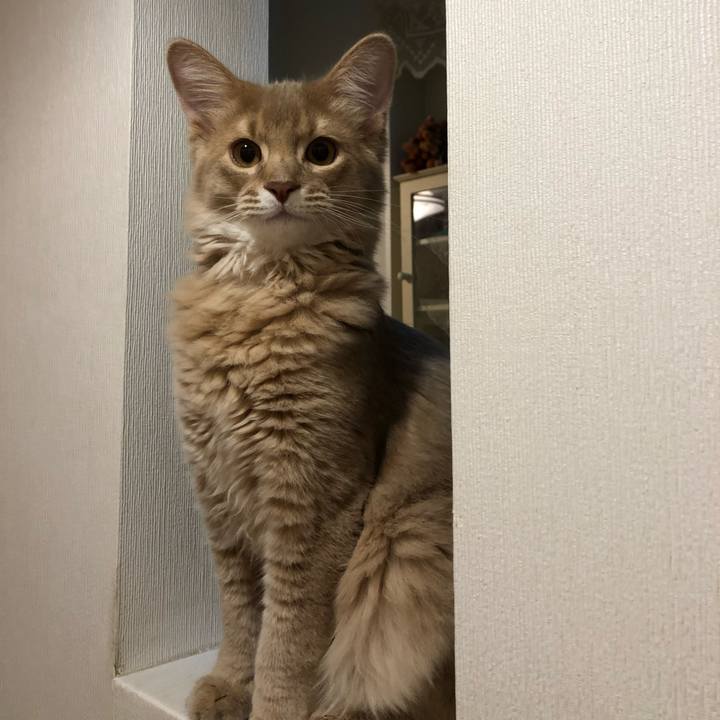 F09b6376 9a3e 4ac5 a749 696148b2dd09 1547983568029