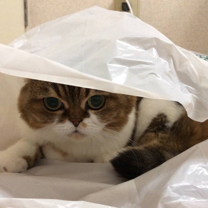 F09bb884 5ca8 4bde b8b5 a2f86b4452a7 1538022116453