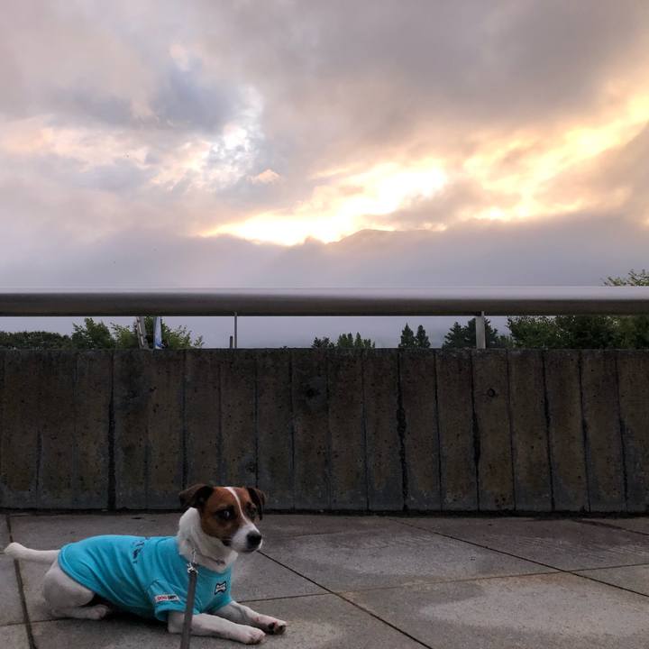 F09bc930 0ec9 4e45 92be 22dd3f4c122f 1566299874586