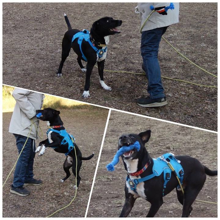 F09bdd9f cfb6 4055 80b0 a518e052a6e9 1612831537486