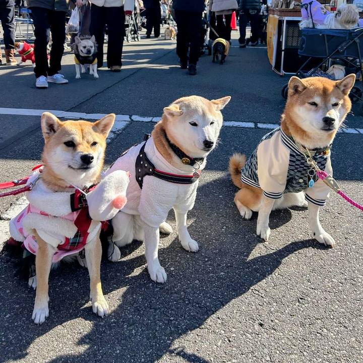 F09bddff f921 4284 97cc ed86c7f3be78 1767106551889