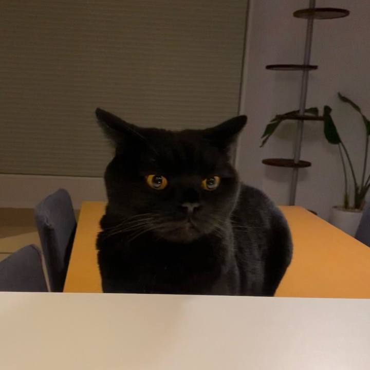 F09bf348 4674 4dfb a794 ee5677ffff60 1609675459126