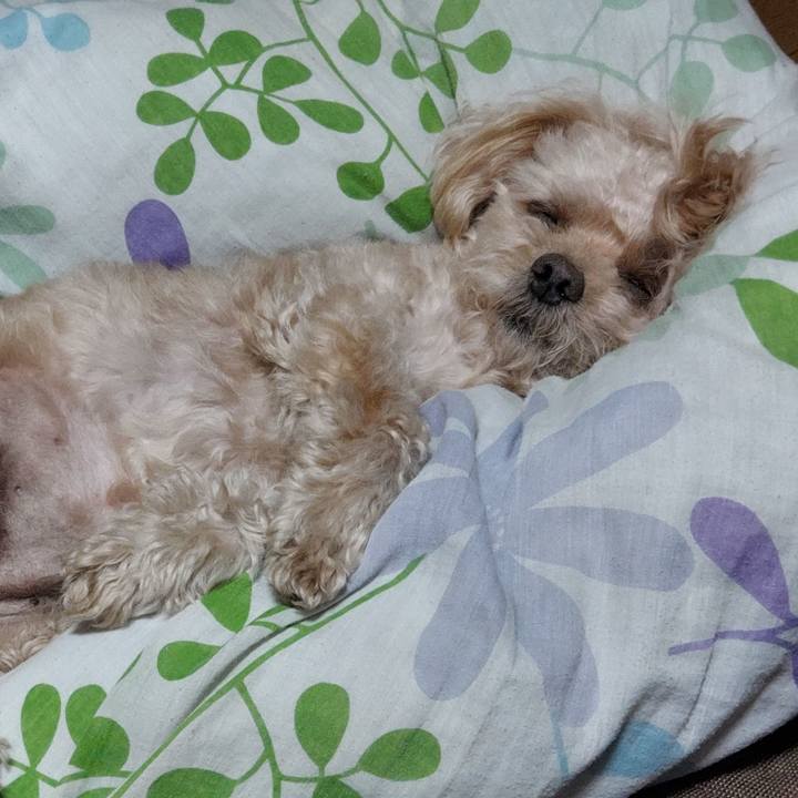 F09c0649 d0be 4843 a7fc 8528493d6bc2 1694505727382