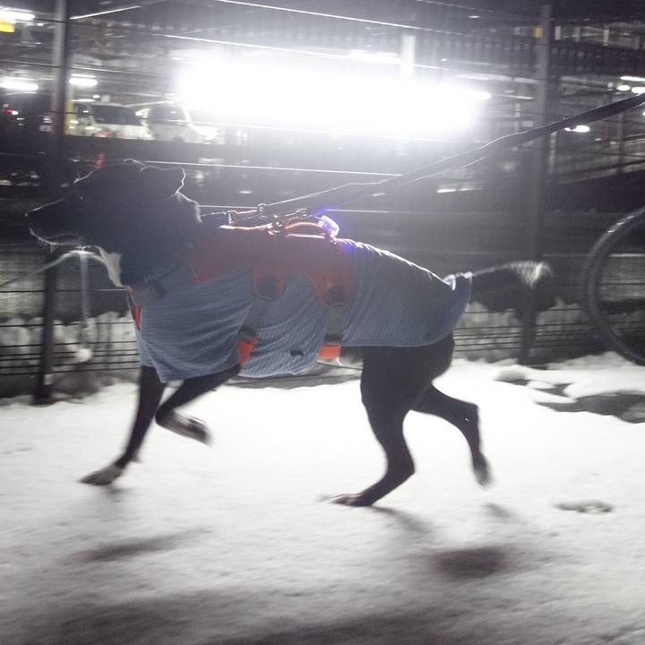 F09c36ce 23ef 429b adc3 5504780c37e5 1707215996377