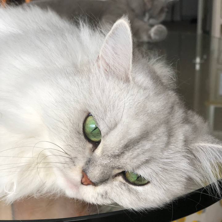 F09c3fde fd52 41b8 af11 33fe5851d733 1536996784824