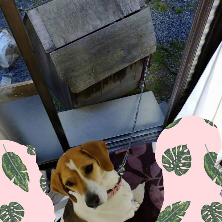 F09c4007 4912 4b35 98f6 0999d34f598e 1587475803224