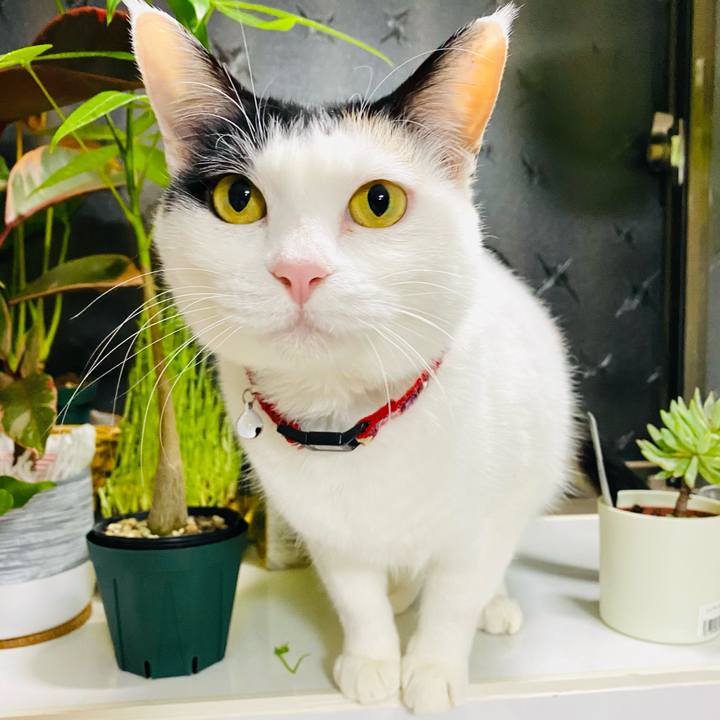 F09c482d b649 4a68 9d7b 1c7b76785b7a 1677070203378