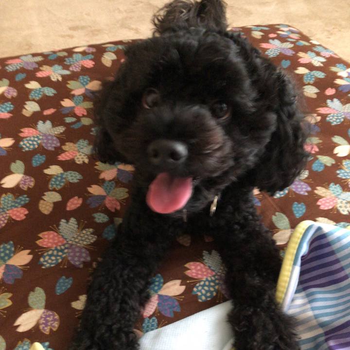 F09c683b d104 491f af67 c5a60e5c2e13 1538611815227