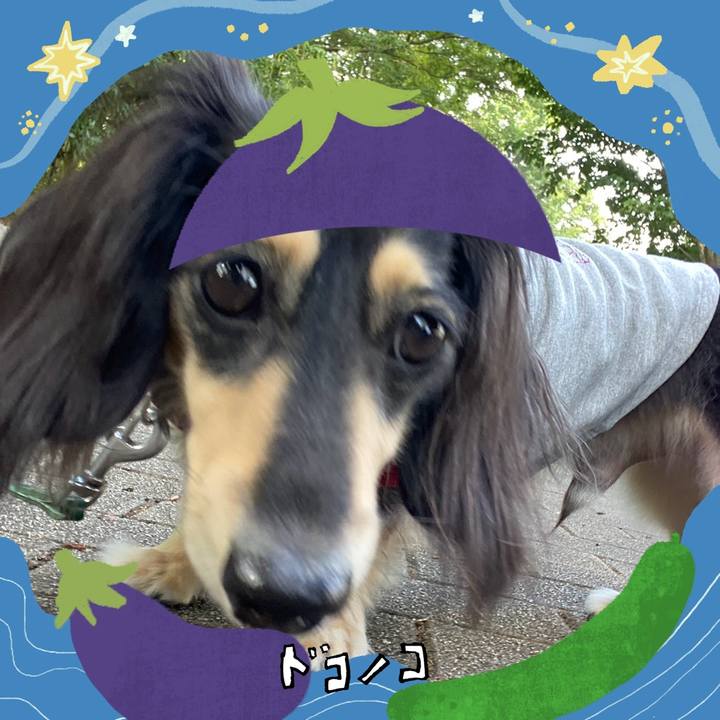 F09c6fff 4de8 4fcd 8a3a 4cf705078b67 1755063624497