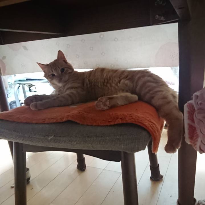 F09c884d 293d 4b47 a09c 2b3c66476b7d 1639689147156