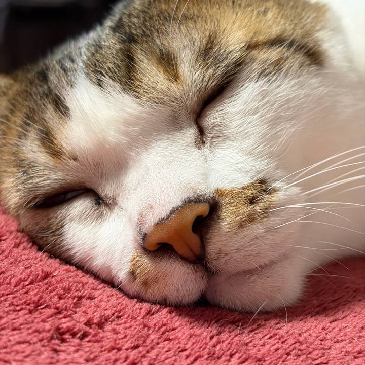 F09c94f9 af10 40ad 954f fb4937ce7338 1768863016532