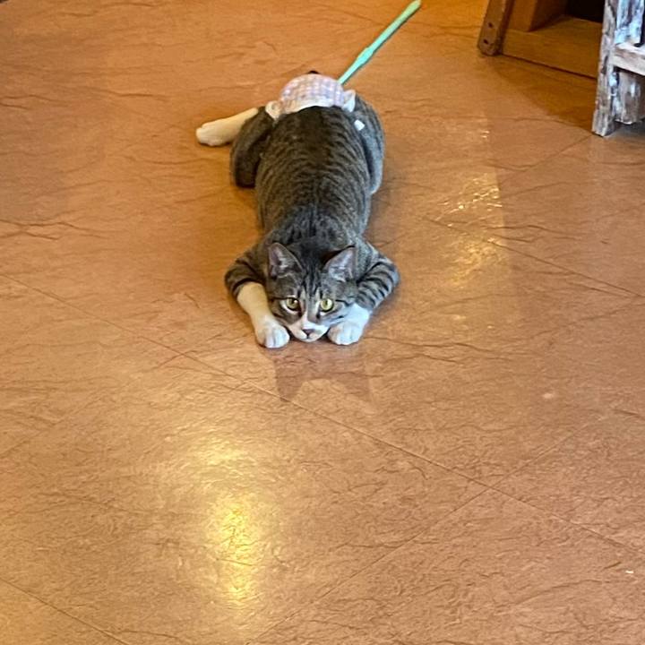 F09cbd7c 2bd0 4bac 822b 4503429bd6b2 1648025940306