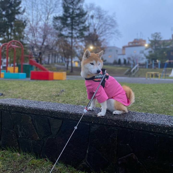 F09ccaa1 8c2c 4e9b ab42 12a87521e872 1619959794466