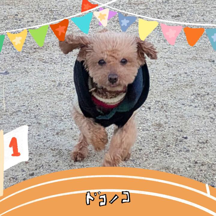 F09ccdbd 338b 4d8d 8d60 ad6c1f2c7316 1764218222528