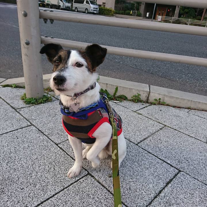 F09cd1ae 8e31 4b65 a67f a2183b01f5c3 1521064514609