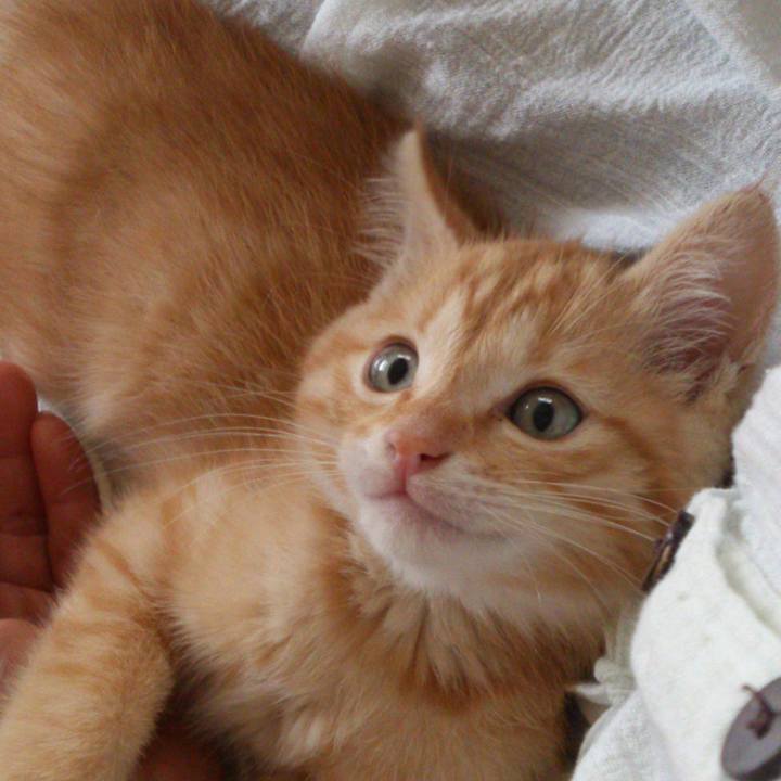 F09ce311 336d 4f3c 92cb 48496d87dfe9 1534898642783