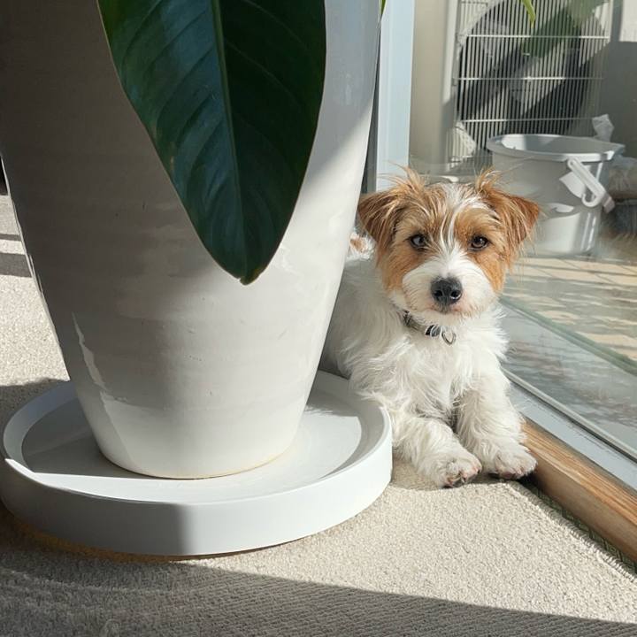 F09d0245 cbb9 41e9 a3b5 2001fe9f80bb 1773533615036