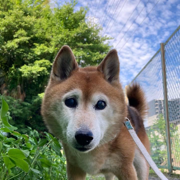 F09d2209 3c19 4178 8da6 e5c7d3eeb8f8 1749730863211