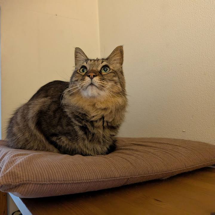 F09d5eed 074f 40a1 9f8e 5f1bfff7293a 1771973936593