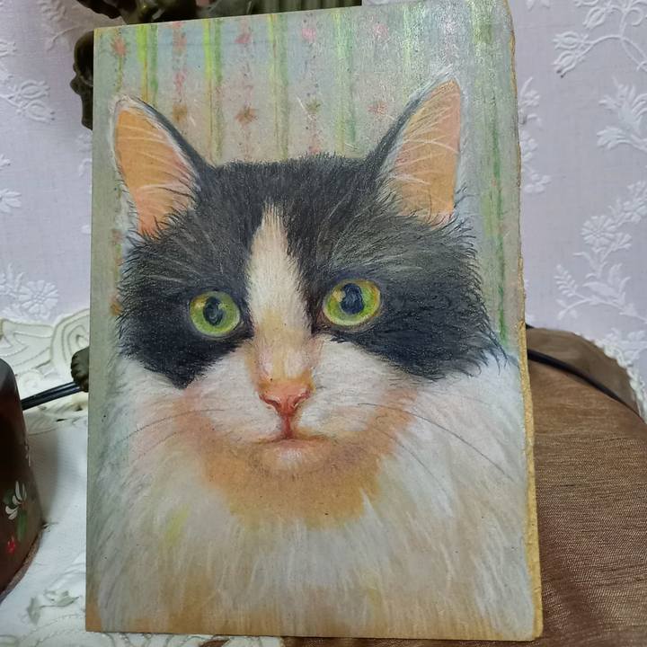 F09d654b ec2b 4d09 8de3 baea40c72f58 1610883063906