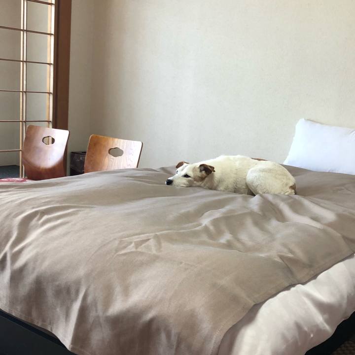 F09dc83f 6b09 4273 a20b 6b85303bb99b 1535869286854