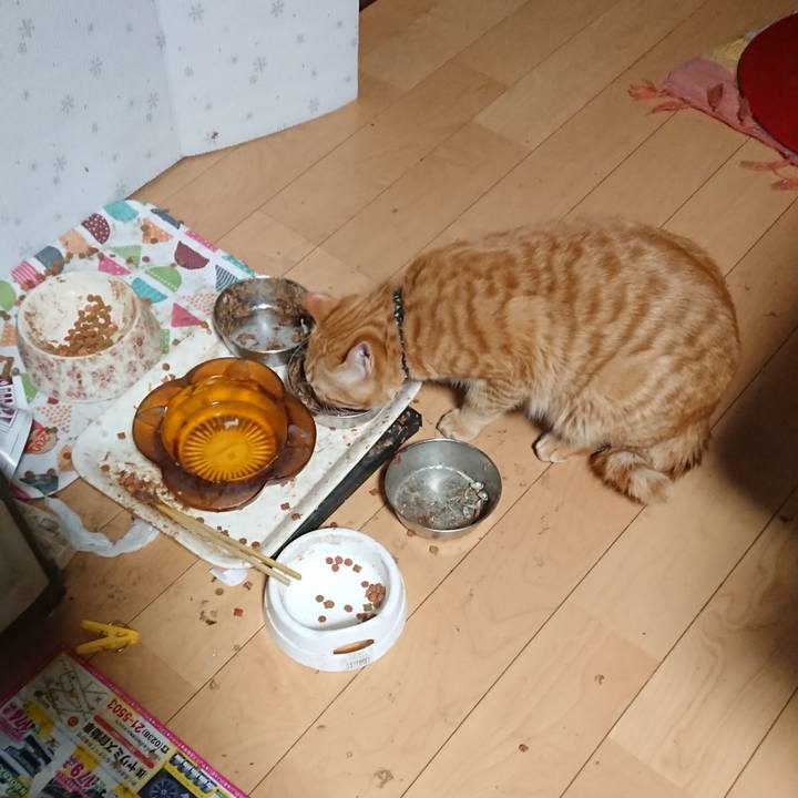 F09e03af 0664 49a9 acac f805d0780c1e 1647203723590