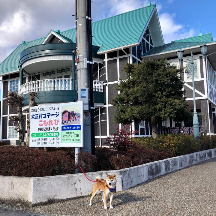 F09e0681 8a1e 4c76 b15e 5be246d9e377 1546589001472