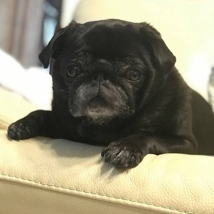 F09e1164 8599 47c0 930d 3342eb45cb5c 1526646186353