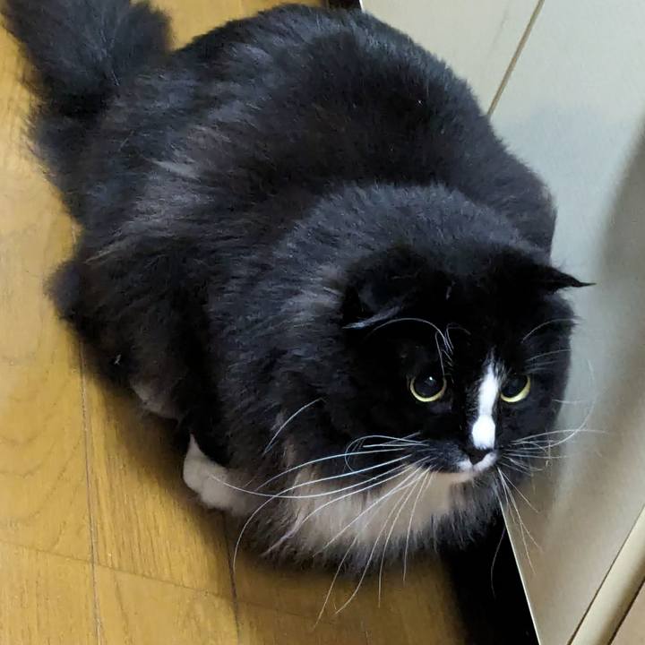 F09e3f48 92d7 4f57 bdbc a8dbf2864664 1714778567450