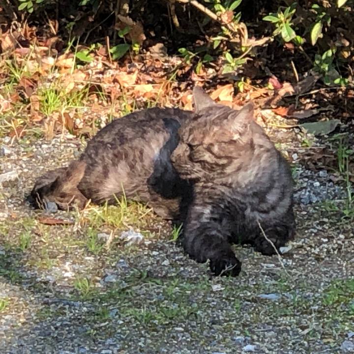 F09e48b2 6d14 447e aac9 314c8dd0ae6b 1584530984929