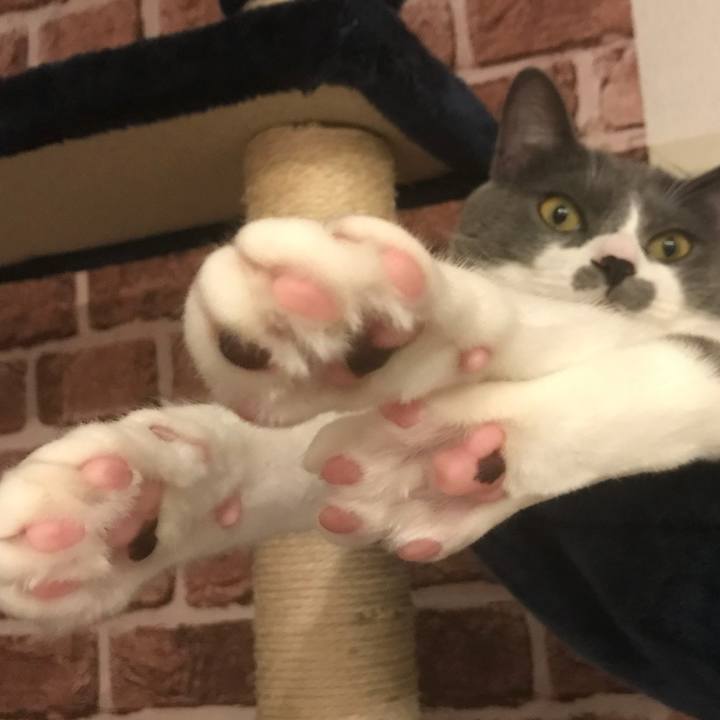 F09e534d ef51 44e8 89b7 a74ea8b72f06 1624967859974