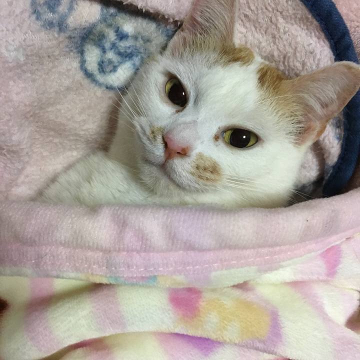 F09e538c 9dad 4fdf 8e89 ec8485d73c41 1553298768101