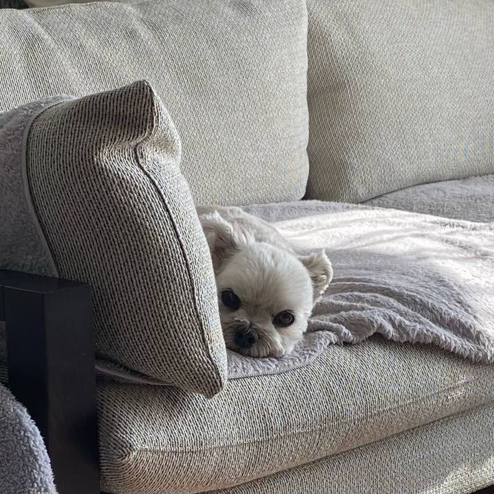 F09e62bc 7529 4421 8ca2 270b9092e21a 1698564479807