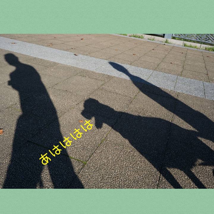 F09e7cf9 b775 4f92 b9a8 16959f32bfe9 1789344983082