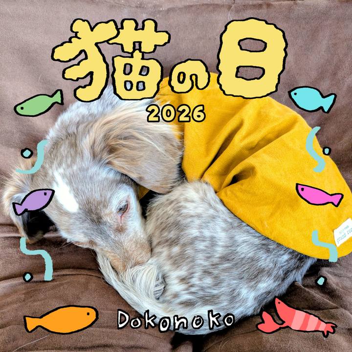 F09eca4f 6b3e 44e7 9e72 7755447eac04 1771729992165