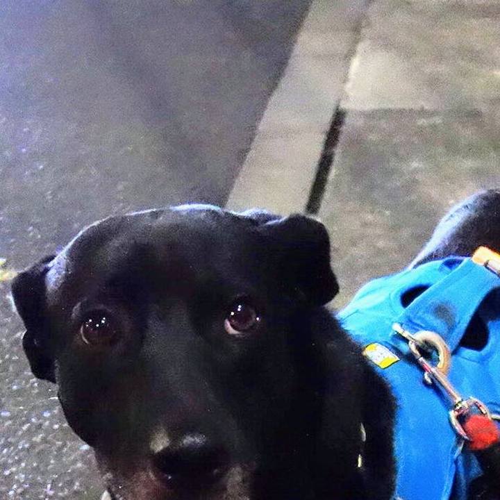 F09ed593 70e7 4eea be91 546cf950393d 1613472076735