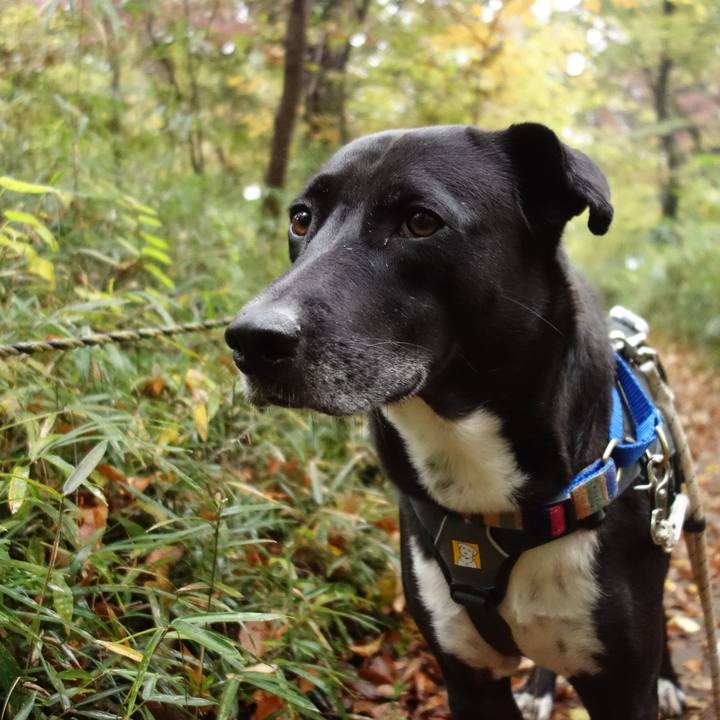 F09ed843 682e 4654 b478 6a9767730f6d 1637542540389