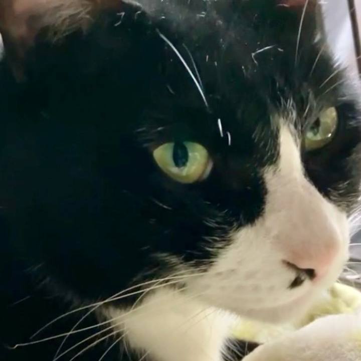 F09ef3e9 ff67 405c b2b5 e78fde433259 1728898505717